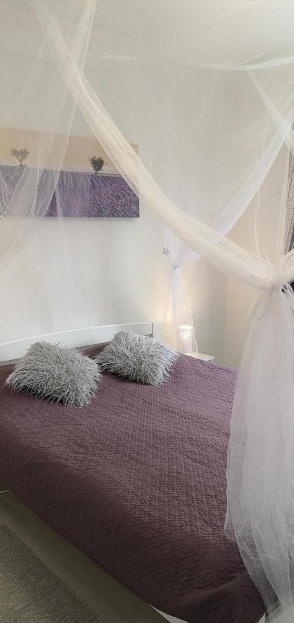 Diamond Apartment Târgu-Mureş 외부 사진